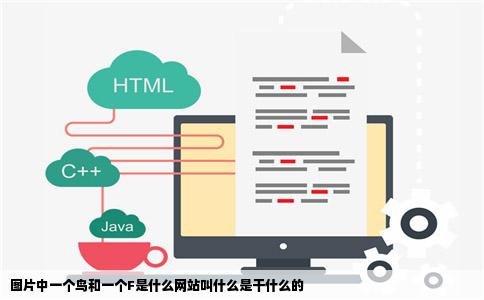 图片中一个鸟和一个F是什么网站叫什么是干什么的