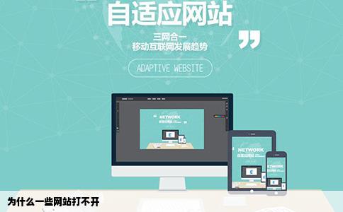 为什么一些网站打不开