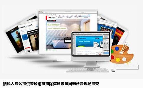纳税人怎么提供专项附加扣除信息数据网站还是现场提交