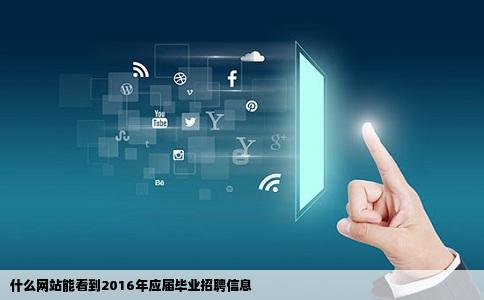 什么网站能看到2016年应届毕业招聘信息