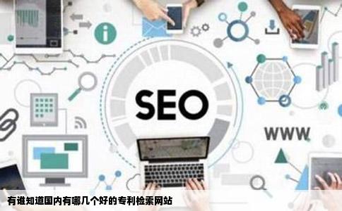 有谁知道国内有哪几个好的专利检索网站