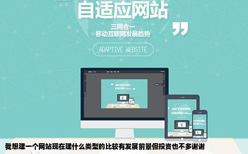 我想建一个网站现在建什么类型的比较有发展前景但投资也不多谢谢
