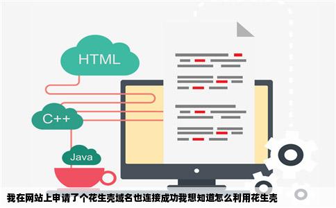我在网站上申请了个花生壳域名也连接成功我想知道怎么利用花生壳