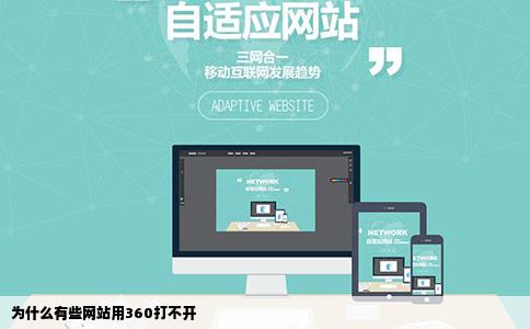 为什么有些网站用360打不开