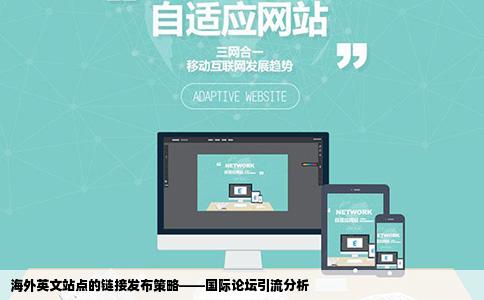 海外英文站点的链接发布策略——国际论坛引流分析