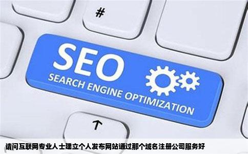 请问互联网专业人士建立个人发布网站通过那个域名注册公司服务好