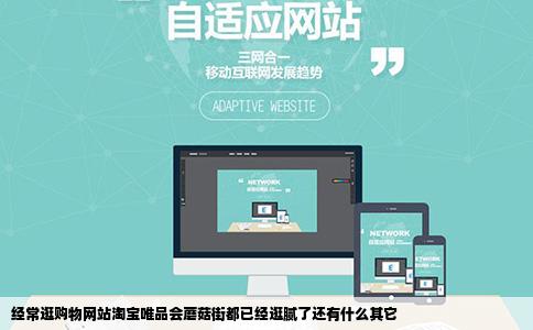 经常逛购物网站淘宝唯品会蘑菇街都已经逛腻了还有什么其它