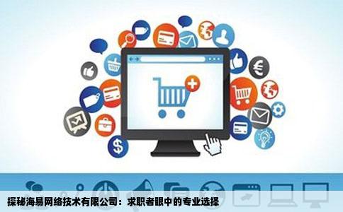 探秘海易网络技术有限公司：求职者眼中的专业选择