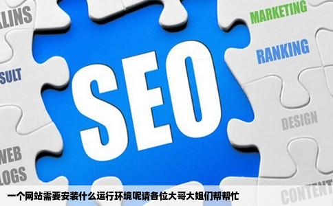一个网站需要安装什么运行环境呢请各位大哥大姐们帮帮忙