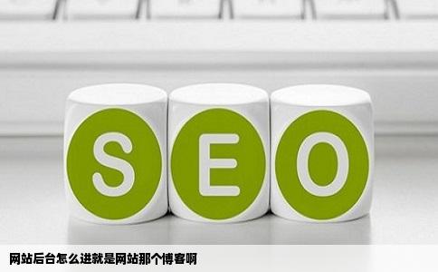 网站后台怎么进就是网站那个博客啊