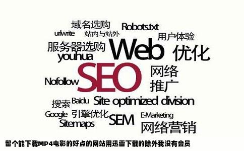 留个能下载MP4电影的好点的网站用迅雷下载的除外我没有会员