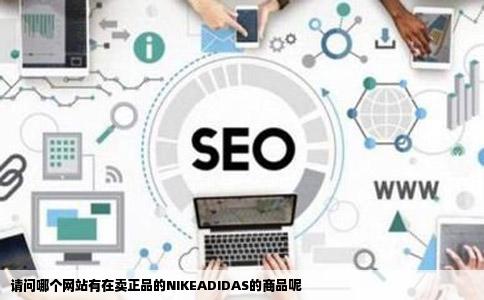 请问哪个网站有在卖正品的NIKEADIDAS的商品呢