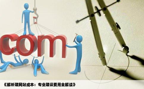 《解析建网站成本：专业建设费用全解读》