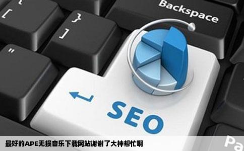 最好的APE无损音乐下载网站谢谢了大神帮忙啊