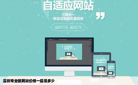 深圳专业做网站价格一般是多少