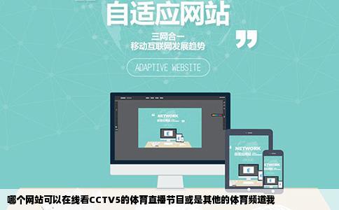 哪个网站可以在线看CCTV5的体育直播节目或是其他的体育频道我