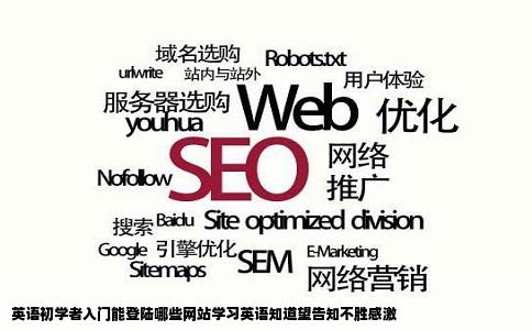 英语初学者入门能登陆哪些网站学习英语知道望告知不胜感激