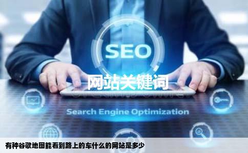 有种谷歌地图能看到路上的车什么的网站是多少