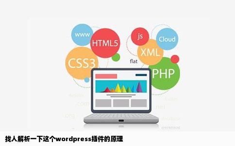 找人解析一下这个wordpress插件的原理