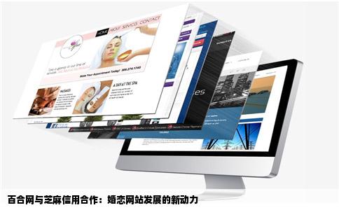 百合网与芝麻信用合作：婚恋网站发展的新动力