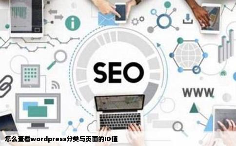 怎么查看wordpress分类与页面的ID值