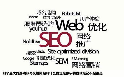 那个最大的游戏账号交易网站叫什么网址是数字的我就是记不起来是