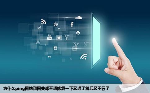 为什么ping网站和网关都不通修复一下又通了然后又不行了