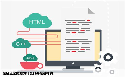 域名正常网站为什么打开是这样的