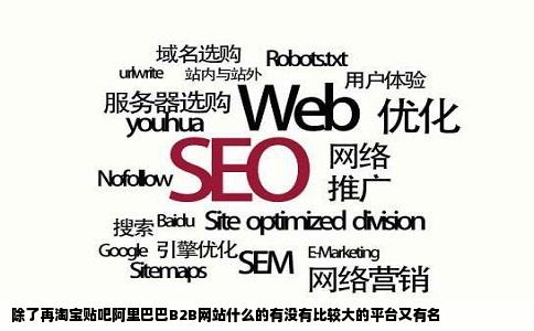 除了再淘宝贴吧阿里巴巴B2B网站什么的有没有比较大的平台又有名