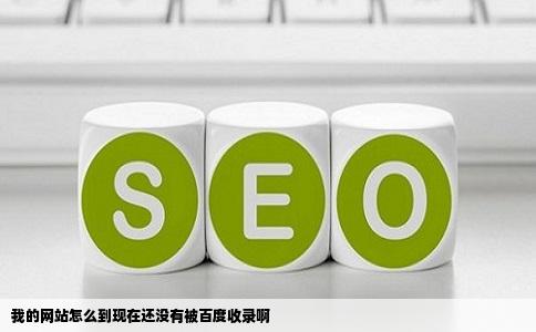 我的网站怎么到现在还没有被百度收录啊