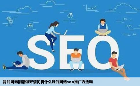 我的网站刚刚做好请问有什么好的网站seo推广方法吗