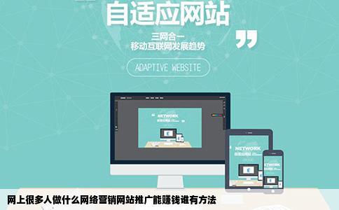 网上很多人做什么网络营销网站推广能赚钱谁有方法