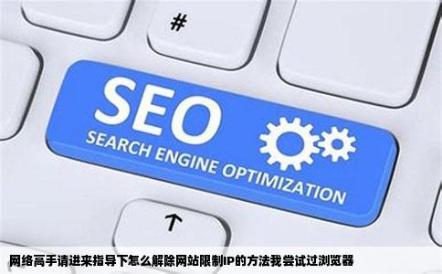 网络高手请进来指导下怎么解除网站限制IP的方法我尝试过浏览器