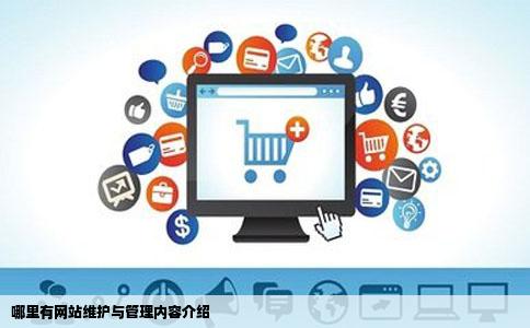 哪里有网站维护与管理内容介绍