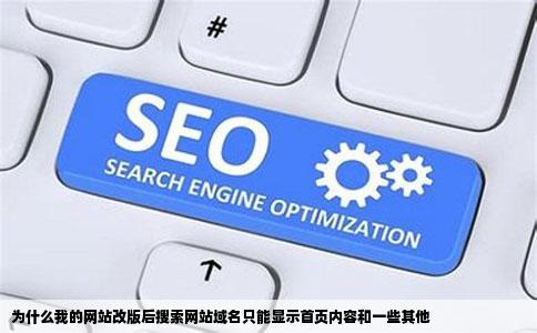 为什么我的网站改版后搜索网站域名只能显示首页内容和一些其他