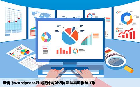 告诉下wordpress如何统计网站访问量翻真的很急了甲