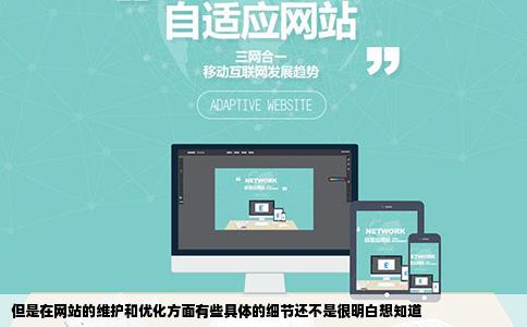 但是在网站的维护和优化方面有些具体的细节还不是很明白想知道