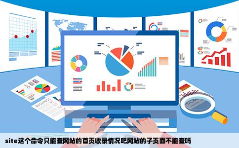 site这个命令只能查网站的首页收录情况吧网站的子页面不能查吗