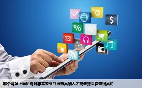 哪个网站上面招聘到非常专业的医药高端人才或者猎头信誉很高的