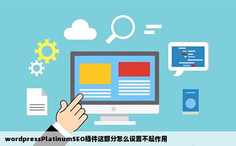 wordpressPlatinumSEO插件这部分怎么设置不起作用