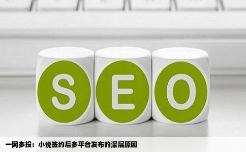 一网多投：小说签约后多平台发布的深层原因