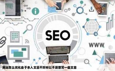 网站怎么优化由于本人文采不好所以不愿意写一些文章