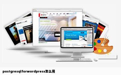 postgresqlforwordpress怎么用