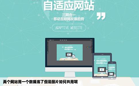 两个网站用一个数据库了但是图片如何共用呢