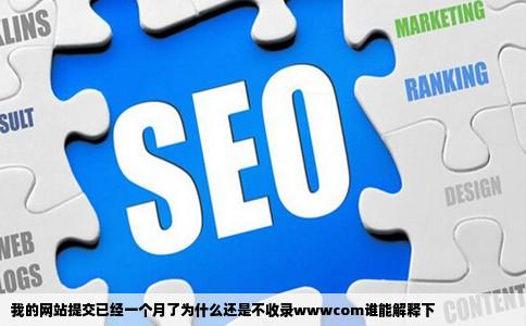 我的网站提交已经一个月了为什么还是不收录wwwcom谁能解释下