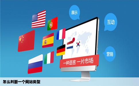 怎么判断一个网站类型