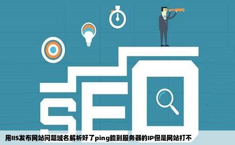 用IIS发布网站问题域名解析好了ping能到服务器的IP但是网站打不