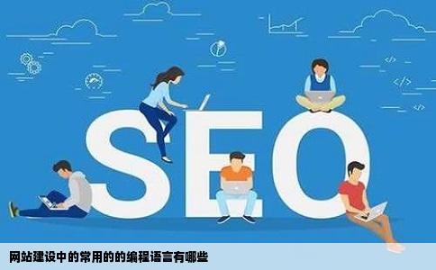 网站建设中的常用的的编程语言有哪些