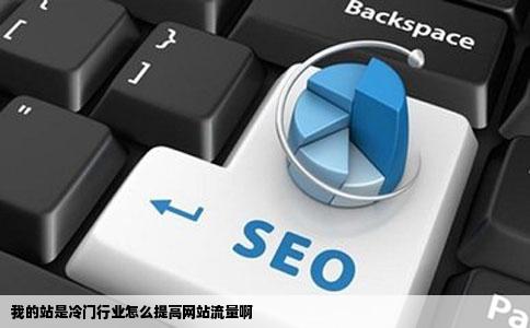 我的站是冷门行业怎么提高网站流量啊