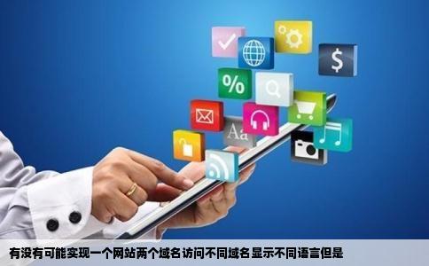 有没有可能实现一个网站两个域名访问不同域名显示不同语言但是